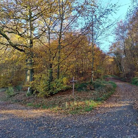 Apartment Sauna Eschfeld